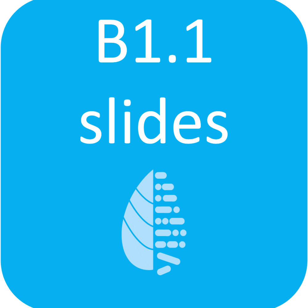 IB Biology B1.1 Carbohydrates and Lipids Slides